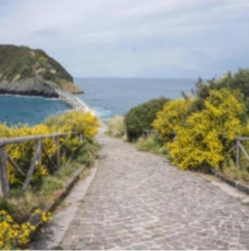 Tuttiacasaditeresa Rooms Procida Exterior photo